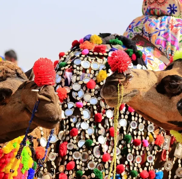 Golden Triangle Tours
